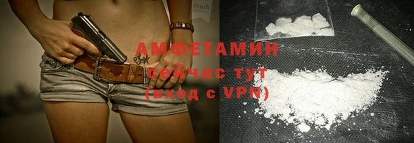 стаф Осинники