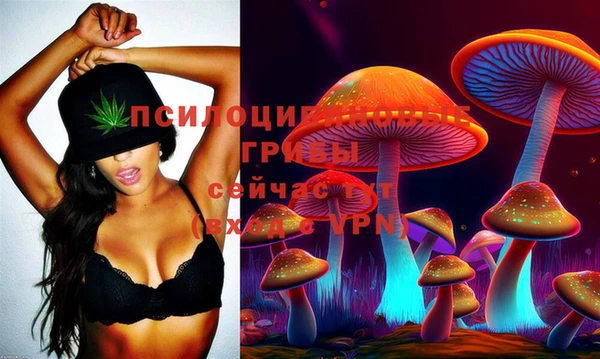спиды Осташков