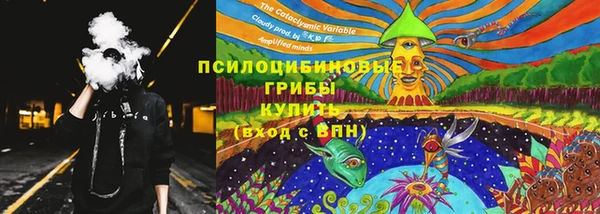первитин Няндома