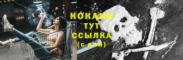 первитин Няндома