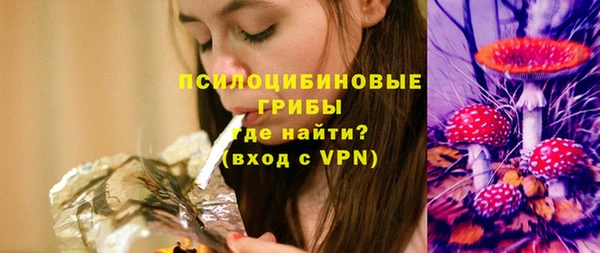 стаф Осинники