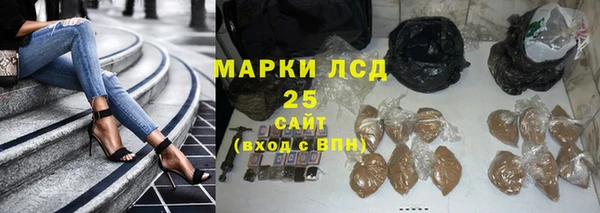 спиды Осташков