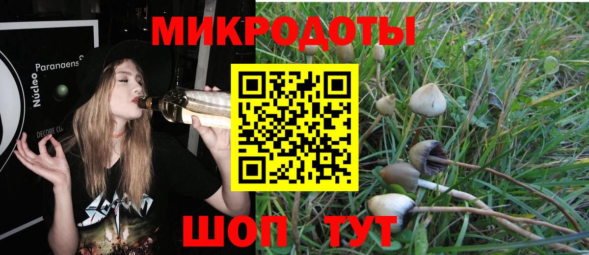 Галлюциногенные грибы GOLDEN TEACHER Знаменск