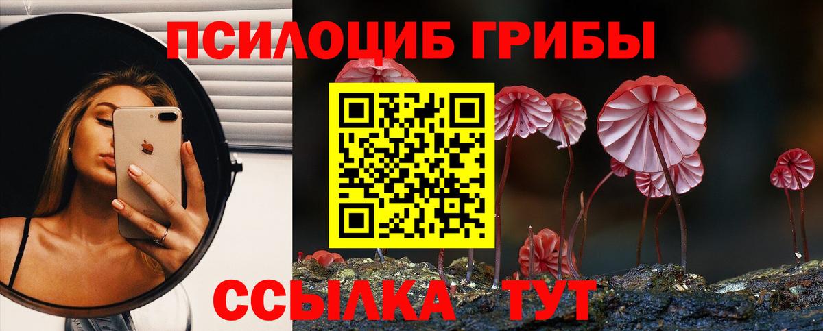 Псилоцибиновые грибы ЛСД Знаменск